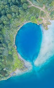 Preview wallpaper ocean, aerial view, trees, coast