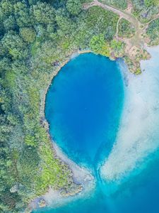 Preview wallpaper ocean, aerial view, trees, coast