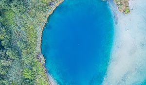 Preview wallpaper ocean, aerial view, trees, coast