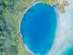 Preview wallpaper ocean, aerial view, trees, coast