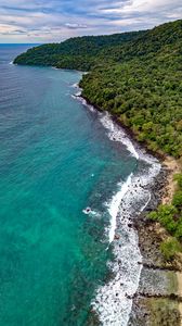 Preview wallpaper ocean, aerial view, vegetation, beach, shore