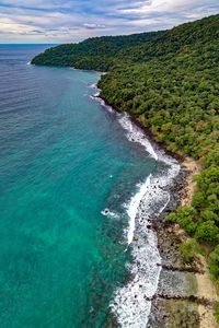 Preview wallpaper ocean, aerial view, vegetation, beach, shore