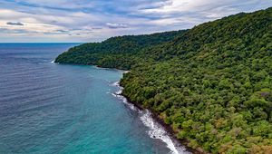 Preview wallpaper ocean, aerial view, vegetation, beach, shore