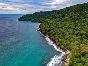 Preview wallpaper ocean, aerial view, vegetation, beach, shore