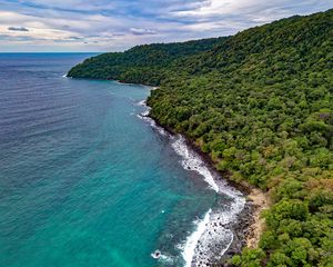 Preview wallpaper ocean, aerial view, vegetation, beach, shore