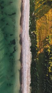 Preview wallpaper ocean, beach, aerial view, water, sand, trees