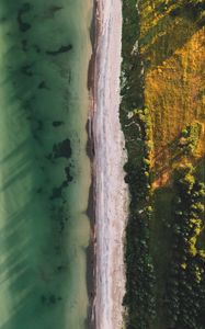 Preview wallpaper ocean, beach, aerial view, water, sand, trees