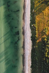 Preview wallpaper ocean, beach, aerial view, water, sand, trees