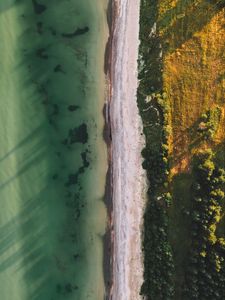 Preview wallpaper ocean, beach, aerial view, water, sand, trees