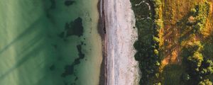 Preview wallpaper ocean, beach, aerial view, water, sand, trees