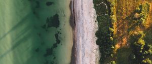 Preview wallpaper ocean, beach, aerial view, water, sand, trees