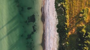 Preview wallpaper ocean, beach, aerial view, water, sand, trees