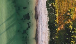 Preview wallpaper ocean, beach, aerial view, water, sand, trees