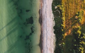 Preview wallpaper ocean, beach, aerial view, water, sand, trees