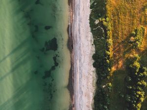 Preview wallpaper ocean, beach, aerial view, water, sand, trees