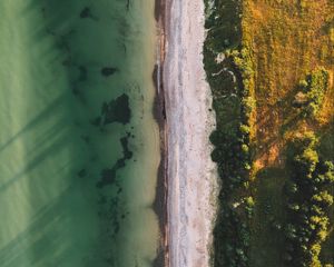 Preview wallpaper ocean, beach, aerial view, water, sand, trees