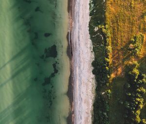 Preview wallpaper ocean, beach, aerial view, water, sand, trees