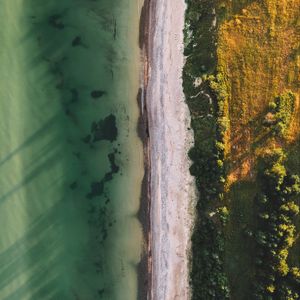 Preview wallpaper ocean, beach, aerial view, water, sand, trees
