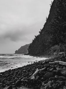 Preview wallpaper ocean, beach, coast, waves, landscape, black and white