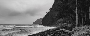 Preview wallpaper ocean, beach, coast, waves, landscape, black and white