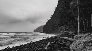 Preview wallpaper ocean, beach, coast, waves, landscape, black and white