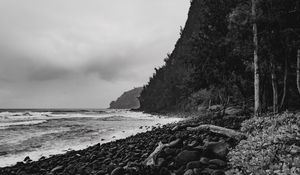 Preview wallpaper ocean, beach, coast, waves, landscape, black and white