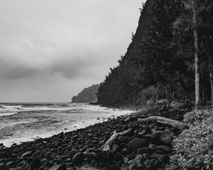 Preview wallpaper ocean, beach, coast, waves, landscape, black and white