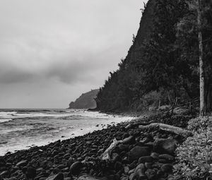Preview wallpaper ocean, beach, coast, waves, landscape, black and white
