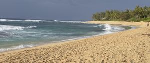 Preview wallpaper ocean, beach, sand, palm tree, tropics