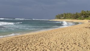 Preview wallpaper ocean, beach, sand, palm tree, tropics