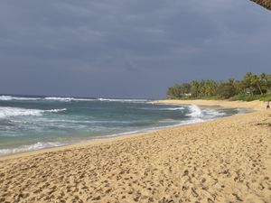 Preview wallpaper ocean, beach, sand, palm tree, tropics