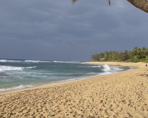 Preview wallpaper ocean, beach, sand, palm tree, tropics