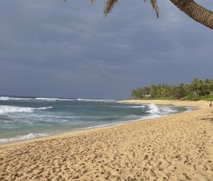 Preview wallpaper ocean, beach, sand, palm tree, tropics