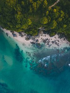 Preview wallpaper ocean, beach, tropics, sand, stones