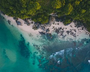 Preview wallpaper ocean, beach, tropics, sand, stones