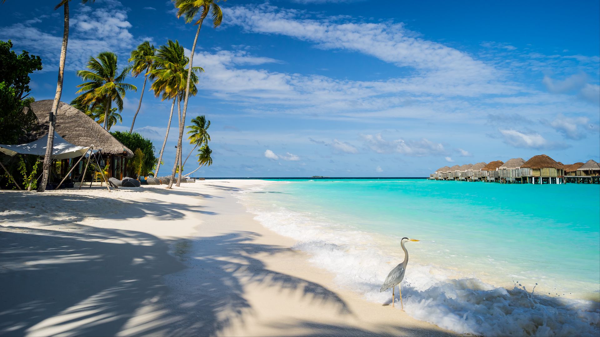 Download wallpaper 1920x1080 ocean, bird, shore, bungalow, tropics full ...