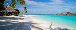 Preview wallpaper ocean, bird, shore, bungalow, tropics