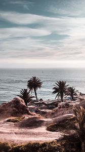 Preview wallpaper ocean, coast, palm trees, cliff, rocky, horizon