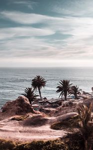 Preview wallpaper ocean, coast, palm trees, cliff, rocky, horizon