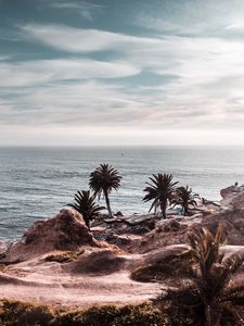 Preview wallpaper ocean, coast, palm trees, cliff, rocky, horizon