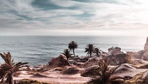 Preview wallpaper ocean, coast, palm trees, cliff, rocky, horizon