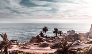 Preview wallpaper ocean, coast, palm trees, cliff, rocky, horizon