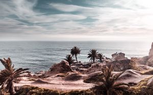 Preview wallpaper ocean, coast, palm trees, cliff, rocky, horizon