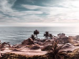 Preview wallpaper ocean, coast, palm trees, cliff, rocky, horizon