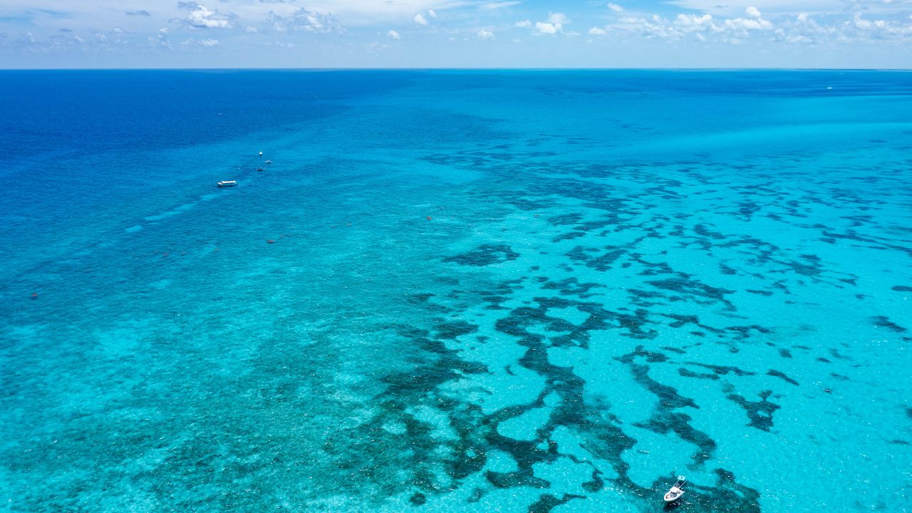 Wallpaper ocean, corals, water, blue water, boats, florida