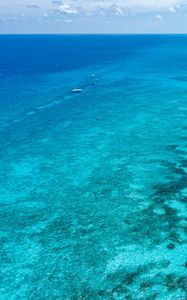 Preview wallpaper ocean, corals, water, blue water, boats, florida