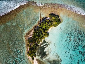 Preview wallpaper ocean, island, aerial view, water, palm trees