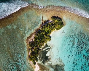 Preview wallpaper ocean, island, aerial view, water, palm trees