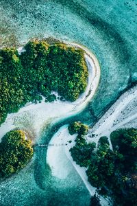 Preview wallpaper ocean, islands, aerial view, trees, water