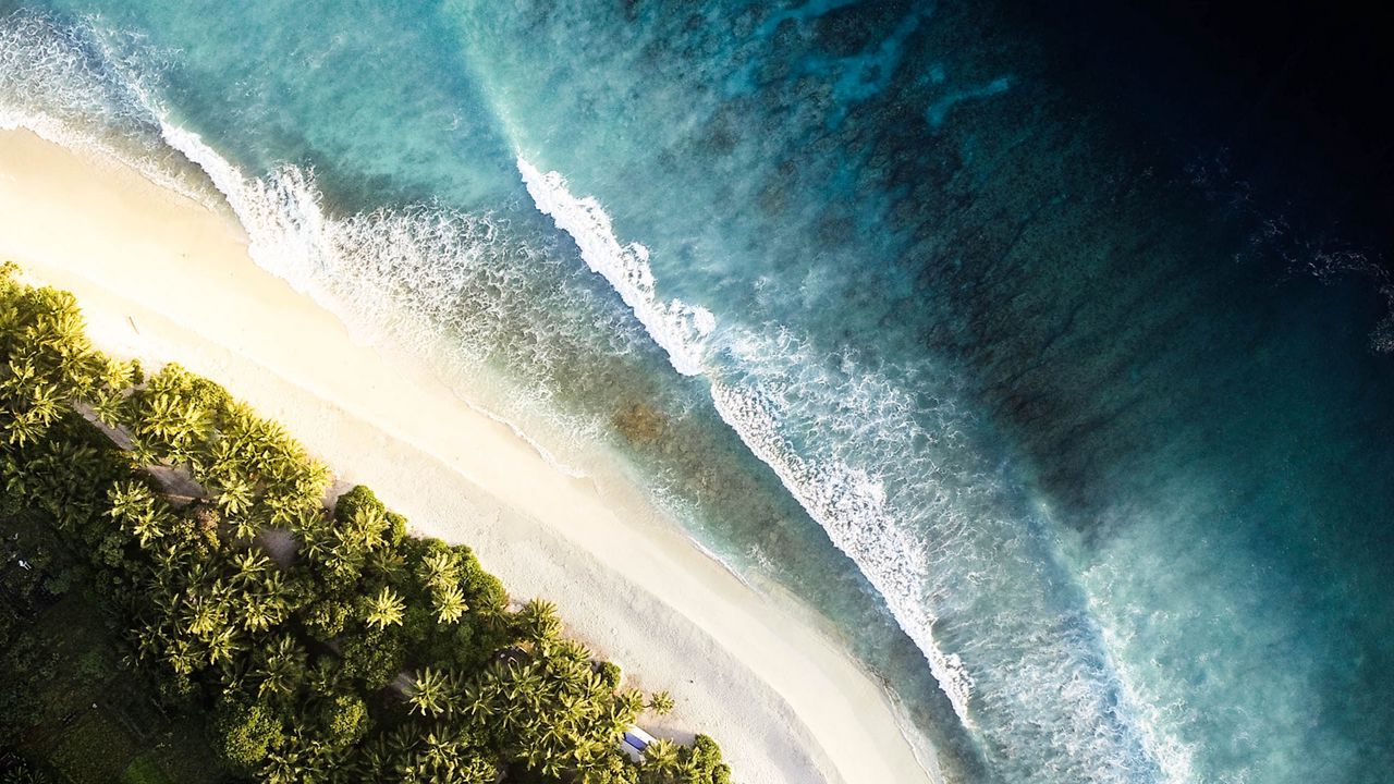 Wallpaper ocean, palm trees, aerial view, waves, surf, shore